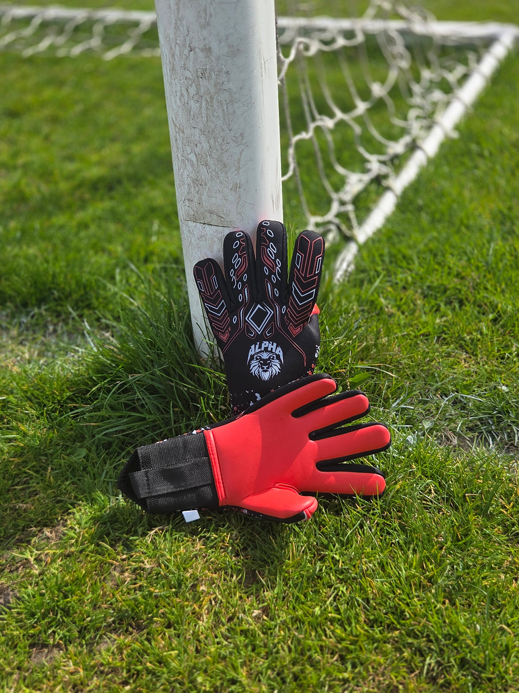The Alpa Red Junior